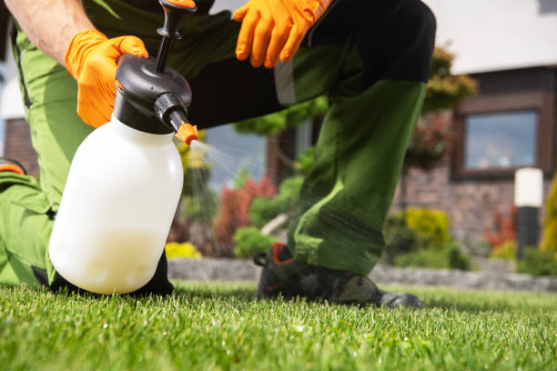 Best Best Pest Control Companies  in Oakland, MO