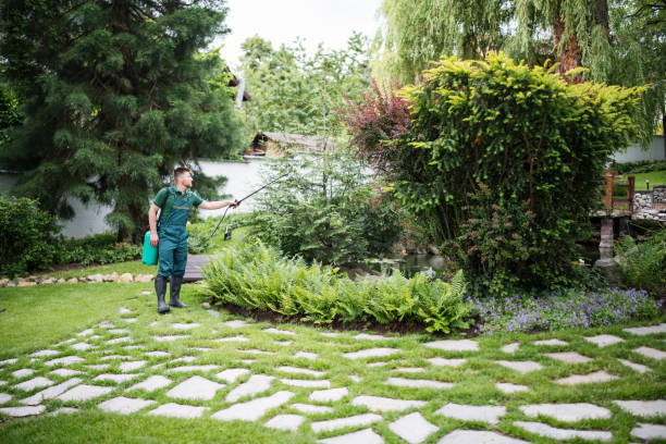 Best Ant Control Services  in Oakland, MO