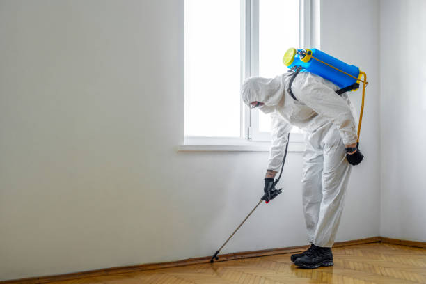 Best Bed Bug Extermination  in Oakland, MO