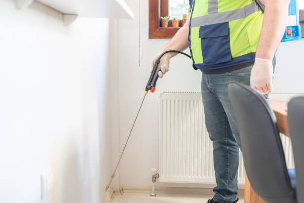 Best Wasp Removal Services  in Oakland, MO