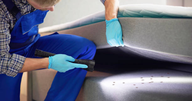 Best Affordable Exterminators  in Oakland, MO