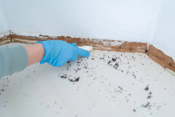 Best Mosquito Control Services  in Oakland, MO